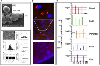 Multiple Sclerosis: LIFNano-CD4 for Trojan Horse Delivery of the Neuro-Protective Biologic “LIF” Into the Brain: Preclinical Proof of Concept